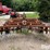 allis-chalmers-9-image-6