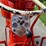 1963-allis-chalmers-d17-image-6