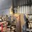 hydraulic-hose-maker-&-hydraulic-press-image-17