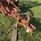 krause-mod.-3121-landsman,-21’-image-3