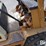 komatsu-fg20-8-image-16