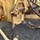massey-ferguson-mf34a-image-22