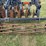 krause-dominator-7-shank-image-26