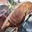 ford-tractor-image-13