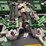 john-deere-1293-image-26
