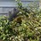 john-deere-6030-image-68