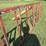 10’-adjustable-steel-sorting-gate-image-4