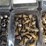 sickle-sections,-short-section-bolts-for-case-ih-soybean-head,-47-new-sections,-section-bolts-and-ne-image-5