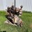 international-td14-crawler-image-28