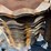 super-coulter-8-wave-disk-blades-image-14