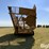 kbh-mule-boy-image-6