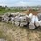 approx-40-precast-cement-pillars-image-1