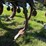 case-ih-730b-ecolo-tiger-disk-ripper,-rear-leveler,-30”-spacing,-2-bearings-are-out-but-2-good-used-image-29