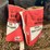 #3065-•-dairyland-conventional-seed-corn-image-3