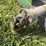 john-deere-603-image-8