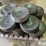 john-deere-1725-image-6