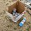 livestock-marking-paint-image-1