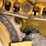 2021-caterpillar-d4-lgp-image-15