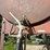 300-gal-fuel-barrel-on-stand,-last-used-for-gas-image-6