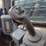 2020-deere-331g-image-9