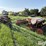 morris-/-melroe-6-bottom-plow-packer-drill-image-7