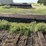 (30)-3”x10”x18’-creosote-bridge-planks-image-4