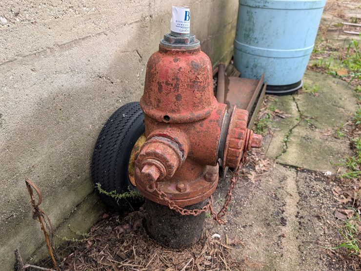 #2993-•-fire-hydrant-image-3