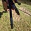 hutchinson-10x71-image-18