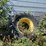 john-deere-6030-image-67