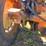 1962-allis-chalmers-d19-image-10