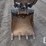 2021-bobcat-e50m-image-15