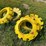 john-deere-8100-image-2