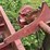 #112-•-mellott-log-deck-image-2