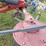 bush-hog-ht210-image-10