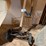 #3034-•-antique-misc-image-2