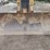 1999-caterpillar-d5c-xl-image-16