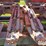 massey-ferguson-3000-image-20