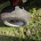 gehl-silage-wagon-on-tandem-running-gear,-12.5-x-15”-and-11l-x-15”-tires,-16’-long,-540-pto-image-8