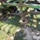 john-deere-1060-image-15