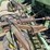 john-deere-9350-image-12