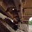 1999-caterpillar-d5c-xl-image-28