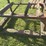 300-gal-fuel-barrel-on-stand,-last-used-for-gas-image-5