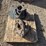 john-deere-4020-image-2