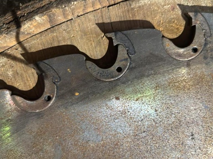 #137-•-saw-blade-image-2