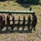 john-deere-bw-image-8