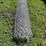 approx-16ft-of-metal-chain-fence-image-2