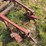24ft-spring-tooth-harrow-with-mounting-brackets-image-2