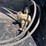 ace-hydraulic-pump-image-2