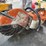 stihl-ts420-gas-cutoff-saw-support-equipment-image-2