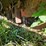 hiniker-1700-image-24